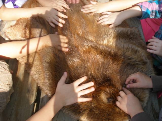Children feeling Otter Pelt